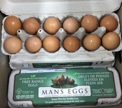 Eggs - Cartons - Medium
