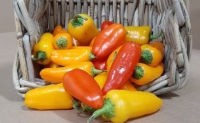 Peppers - Mini - Mixed