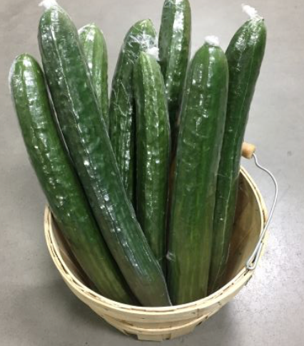 Cucumbers - Large