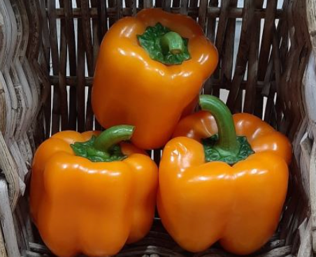 Peppers - Bell - Orange