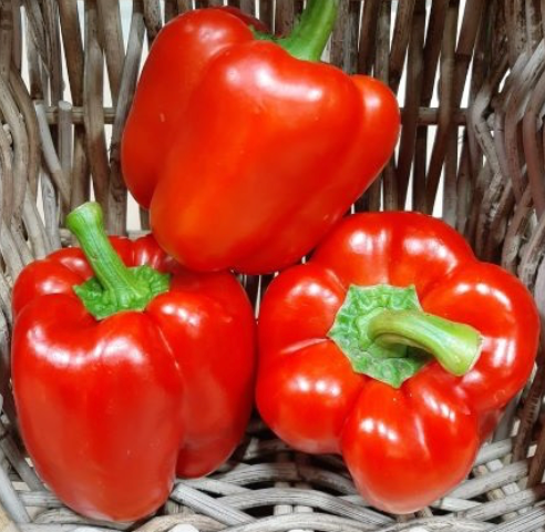 Peppers - Bell - Red