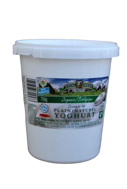 Yogurt - Plain